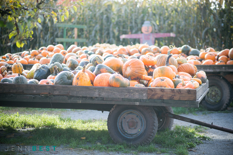 jennbest_blog_halloween06_vancouverweddingphotographer